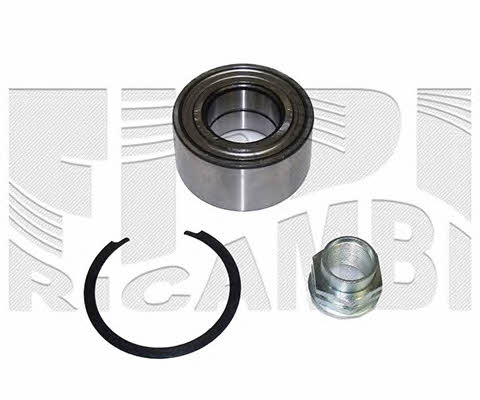 Caliber RC10480 Wheel bearing kit RC10480: Buy near me in Poland at 2407.PL - Good price!