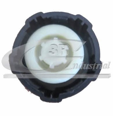 3RG 81601 Coolant pipe flange 81601: Buy near me in Poland at 2407.PL - Good price!