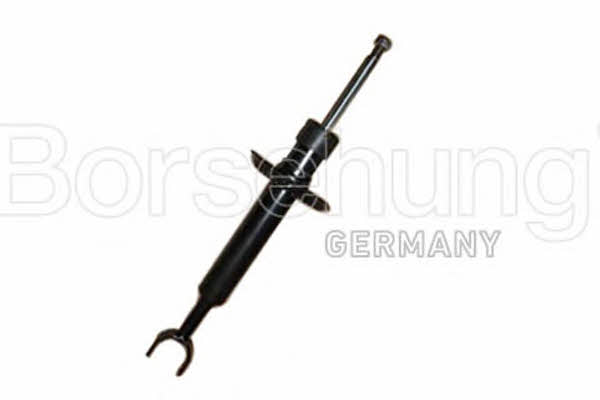 Borsehung B12140 Front oil and gas suspension shock absorber B12140: Buy near me in Poland at 2407.PL - Good price!
