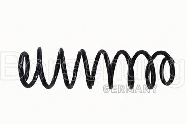 Borsehung B12560 Coil Spring B12560: Buy near me in Poland at 2407.PL - Good price!