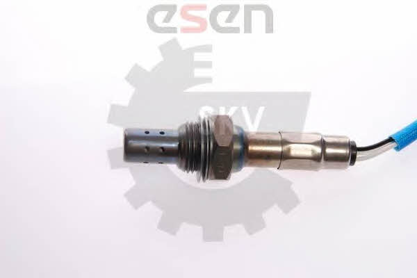 Buy Esen SKV 09SKV018 at a low price in Poland!