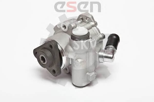 Esen SKV 10SKV015 Hydraulic Pump, steering system 10SKV015: Buy near me in Poland at 2407.PL - Good price!