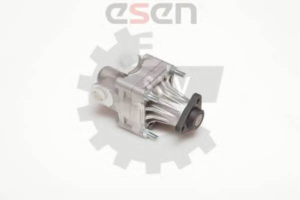 Esen SKV 10SKV005 Hydraulic Pump, steering system 10SKV005: Buy near me in Poland at 2407.PL - Good price!