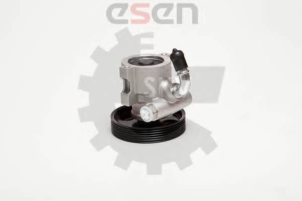 Esen SKV 10SKV025 Hydraulic Pump, steering system 10SKV025: Buy near me in Poland at 2407.PL - Good price!