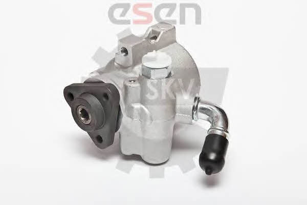 Esen SKV 10SKV041 Hydraulic Pump, steering system 10SKV041: Buy near me in Poland at 2407.PL - Good price!