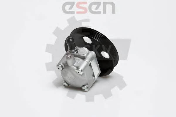 Esen SKV 10SKV176 Hydraulic Pump, steering system 10SKV176: Buy near me in Poland at 2407.PL - Good price!