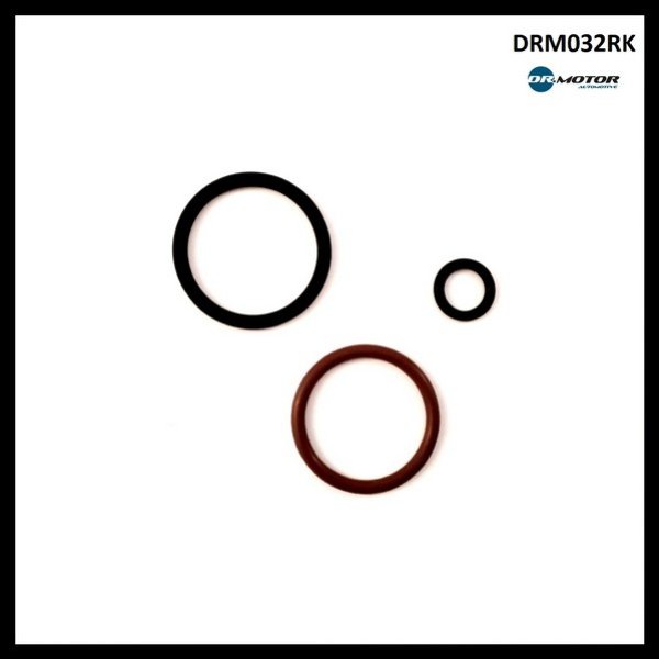 Dr.Motor DRM032RK Fuel injector repair kit DRM032RK: Buy near me in Poland at 2407.PL - Good price!