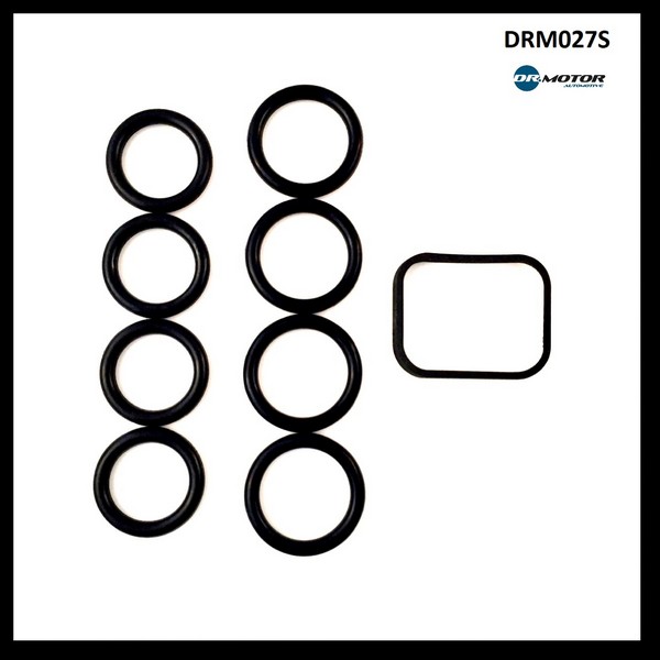 Dr.Motor DRM027S Прокладки впускного колектора, комплект DRM027S: Приваблива ціна - Купити у Польщі на 2407.PL!