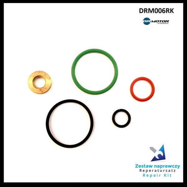 Dr.Motor DRM006RK Fuel injector repair kit DRM006RK: Buy near me in Poland at 2407.PL - Good price!