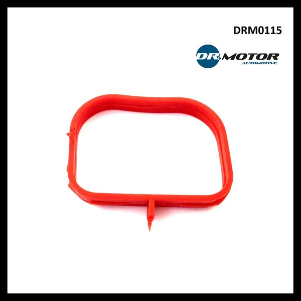 Dr.Motor DRM0115 Прокладка впускного коллектора DRM0115: Отличная цена - Купить в Польше на 2407.PL!