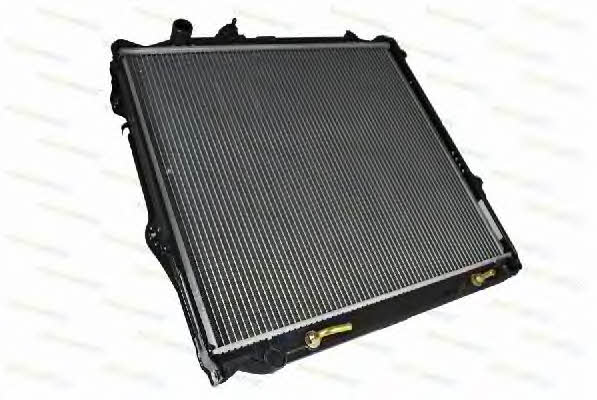 Thermotec D72020TT Radiator, engine cooling D72020TT: Buy near me in Poland at 2407.PL - Good price!