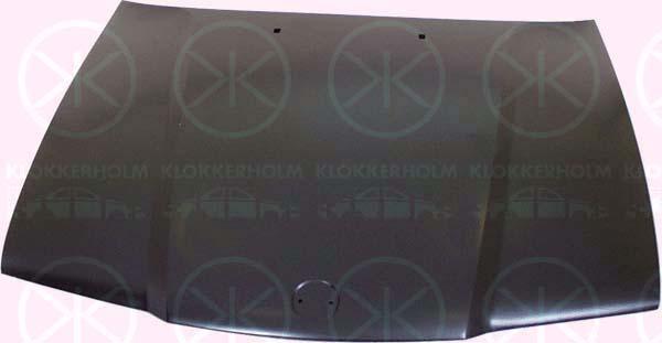 Klokkerholm 0060280A1 Капот 0060280A1: Отличная цена - Купить в Польше на 2407.PL!