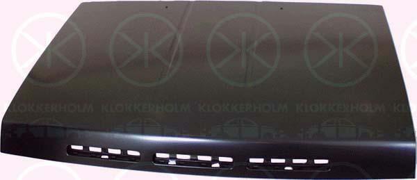 Klokkerholm 1644280 Motorhaube 1644280: Bestellen Sie in Polen zu einem guten Preis bei 2407.PL!