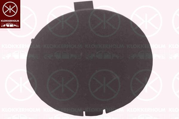 Klokkerholm 2019914A1 Plug towing hook 2019914A1: Buy near me in Poland at 2407.PL - Good price!