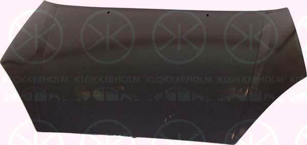 Klokkerholm 2532280 Motorhaube 2532280: Kaufen Sie zu einem guten Preis in Polen bei 2407.PL!