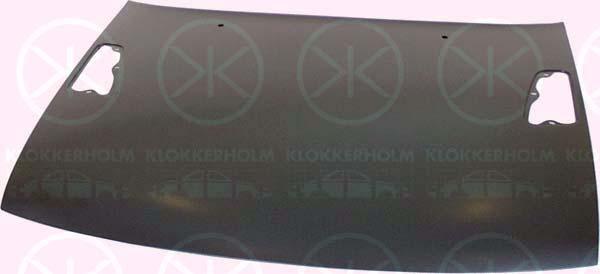 Klokkerholm 5050281 Pokrywa komory silnika 5050281: Dobra cena w Polsce na 2407.PL - Kup Teraz!
