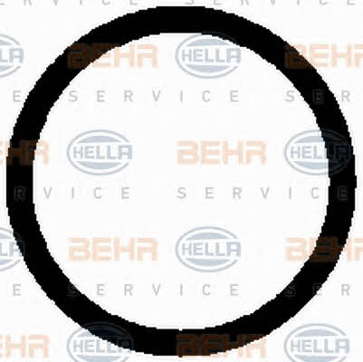 Behr-Hella 8FK 351 133-431 Компресор кондиціонера 8FK351133431: Приваблива ціна - Купити у Польщі на 2407.PL!