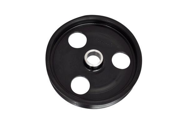 ASAM 30421 Power Steering Pulley 30421: Buy near me in Poland at 2407.PL - Good price!