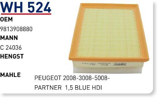 Wunder WH 524 Air filter WH524: Buy near me in Poland at 2407.PL - Good price!