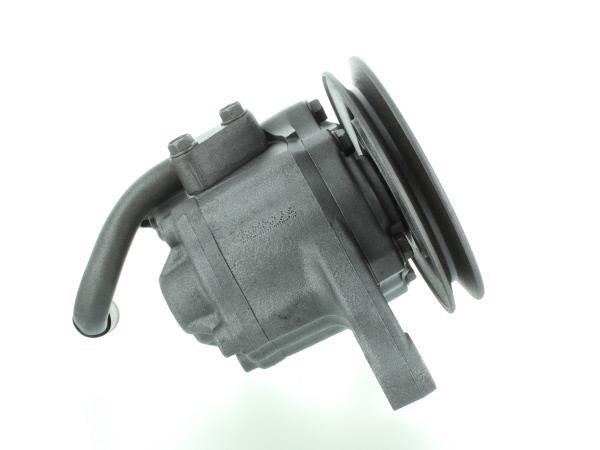 GKN-Spidan 53830 Hydraulikpumpe, Lenkung 53830: Kaufen Sie zu einem guten Preis in Polen bei 2407.PL!