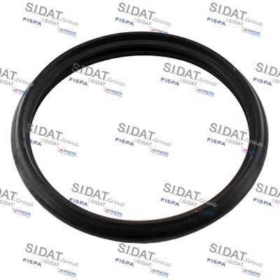 Sidat 94.016110 Gasket, thermostat 94016110: Buy near me in Poland at 2407.PL - Good price!