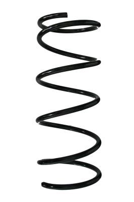 GKN-Spidan 56493 Suspension spring front 56493: Buy near me in Poland at 2407.PL - Good price!