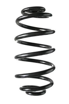 GKN-Spidan 86737 Coil Spring 86737: Buy near me in Poland at 2407.PL - Good price!