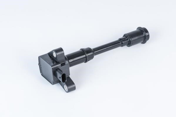 Beru ZSE203 Ignition coil ZSE203: Buy near me in Poland at 2407.PL - Good price!