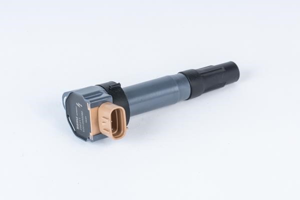 Beru ZSE211 Ignition coil ZSE211: Buy near me in Poland at 2407.PL - Good price!