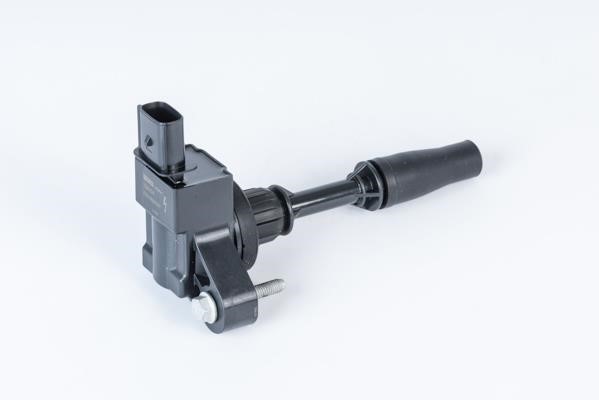 Beru ZSE234 Ignition coil ZSE234: Buy near me in Poland at 2407.PL - Good price!