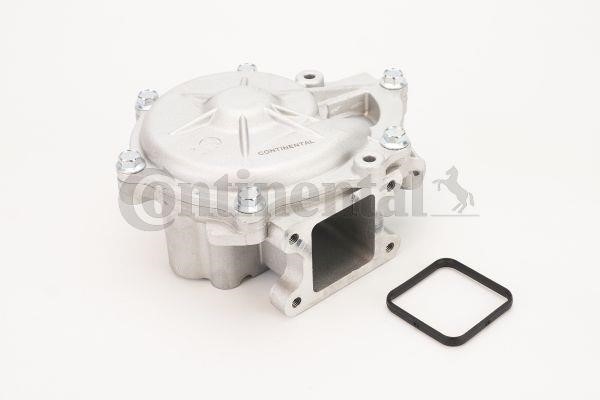 Contitech WPS3123 Water pump WPS3123: Buy near me in Poland at 2407.PL - Good price!