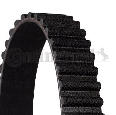 Contitech CT1194 Timing belt CT1194: Buy near me at 2407.PL in Poland at an Affordable price!