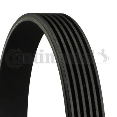 Contitech 6PK1240 ELAST V-ribbed belt 6PK1240 6PK1240ELAST: Buy near me in Poland at 2407.PL - Good price!