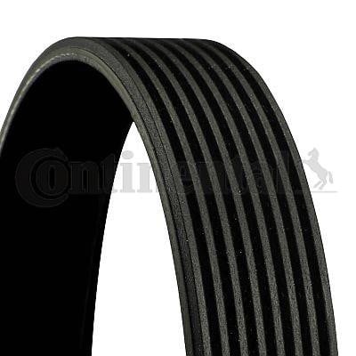 Contitech 8PK1960 V-Ribbed Belt 8PK1960: Buy near me at 2407.PL in Poland at an Affordable price!