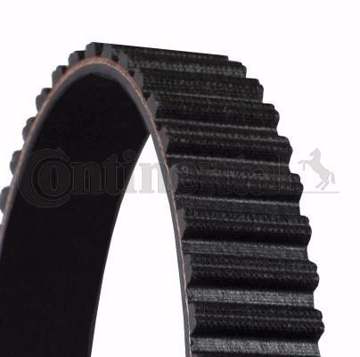 Contitech CT1234 Timing belt CT1234: Buy near me in Poland at 2407.PL - Good price!