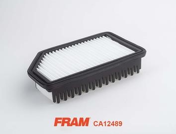Fram CA12489 Filtr powietrza CA12489: Dobra cena w Polsce na 2407.PL - Kup Teraz!