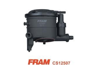 Fram CS12507 Топливный фильтр CS12507: Отличная цена - Купить в Польше на 2407.PL!