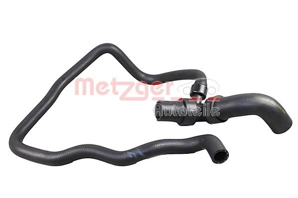 Metzger 2420843 Radiator hose 2420843: Buy near me in Poland at 2407.PL - Good price!