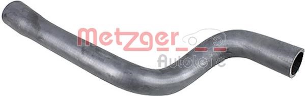 Metzger 2421020 Radiator hose 2421020: Buy near me in Poland at 2407.PL - Good price!