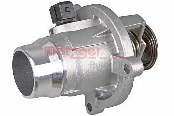 Buy Metzger 4006317 at a low price in Poland!