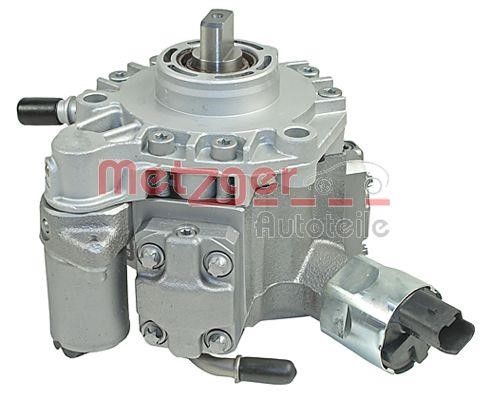 Metzger 0830065 Injection Pump 0830065: Buy near me in Poland at 2407.PL - Good price!
