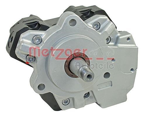 Injection Pump Metzger 0830073