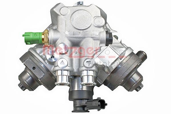 Metzger 0830087 Injection Pump 0830087: Buy near me in Poland at 2407.PL - Good price!