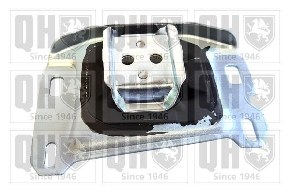 Quinton Hazell EM4930 Engine mount EM4930: Buy near me in Poland at 2407.PL - Good price!