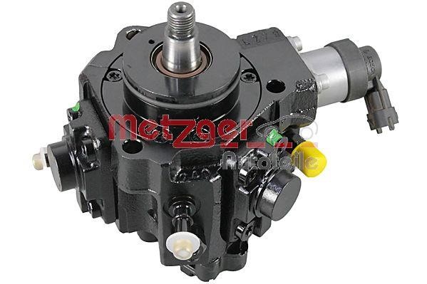 Metzger 0830099 Injection Pump 0830099: Buy near me in Poland at 2407.PL - Good price!