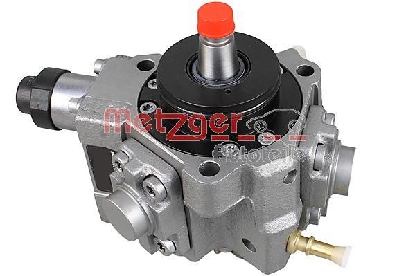 Metzger 0830101 Injection Pump 0830101: Buy near me in Poland at 2407.PL - Good price!