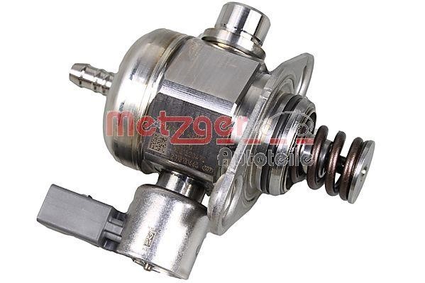Metzger 2250392 Injection Pump 2250392: Buy near me in Poland at 2407.PL - Good price!