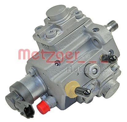 Injection Pump Metzger 0830049