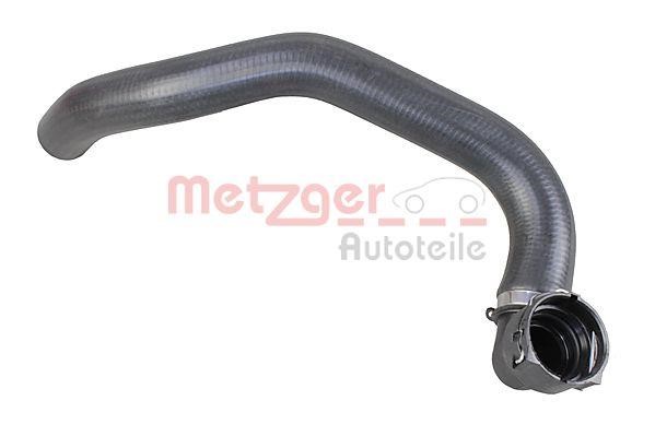 Metzger 2421407 Radiator hose 2421407: Buy near me in Poland at 2407.PL - Good price!