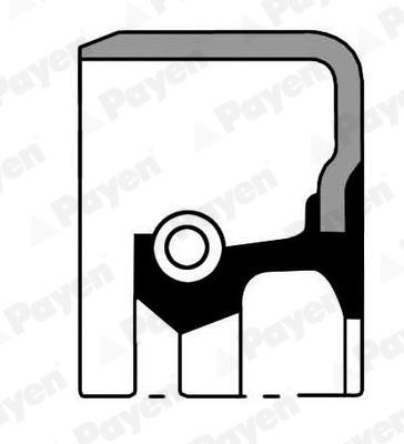 Payen NJ825 Сальник ступицы колеса NJ825: Отличная цена - Купить в Польше на 2407.PL!